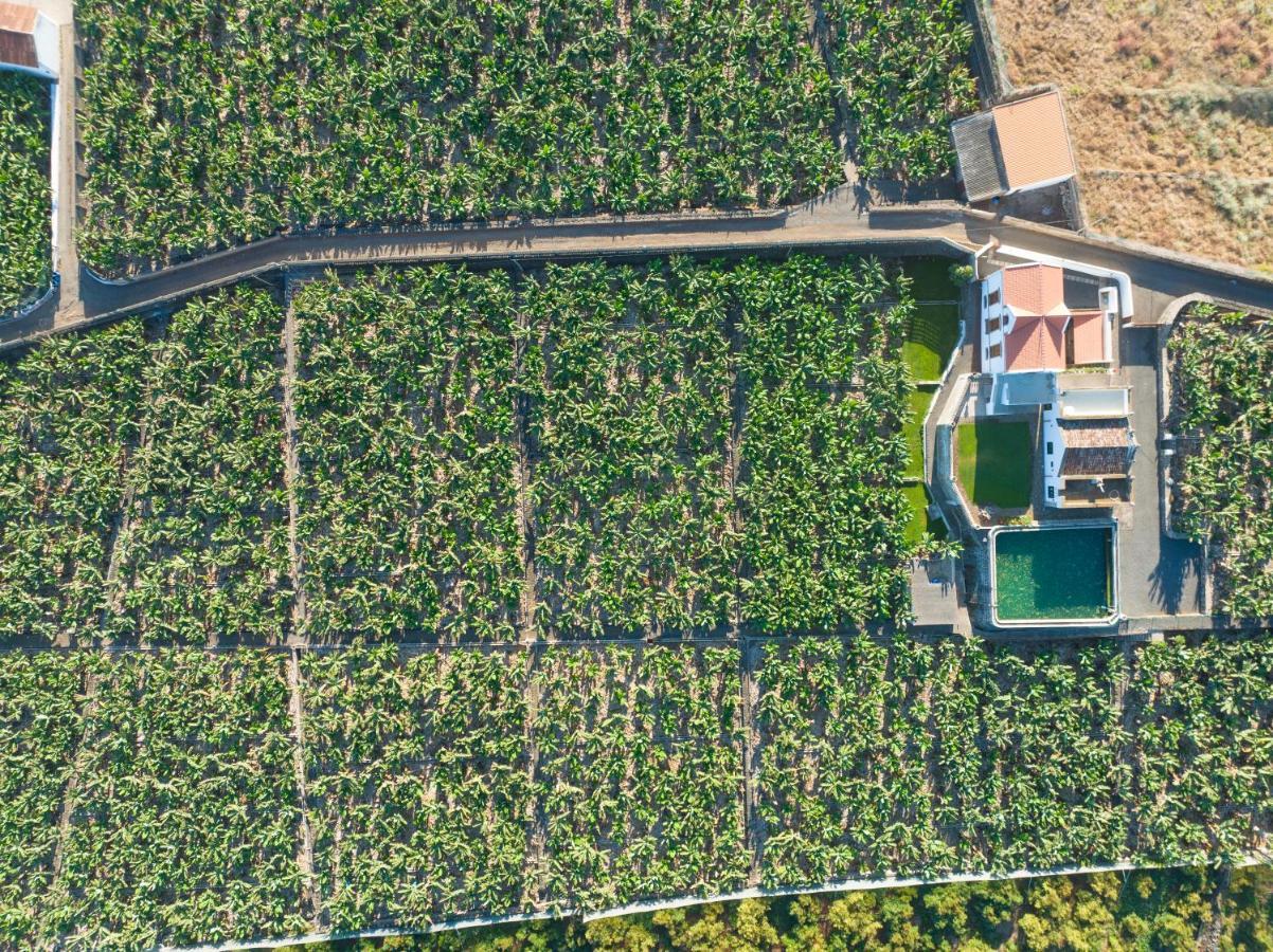 Hacienda Los Orovales Пуерто де ла Крус Екстериор снимка
