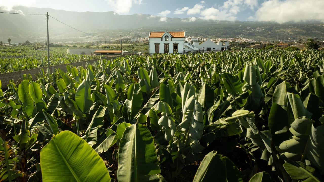 Hacienda Los Orovales Пуерто де ла Крус Екстериор снимка