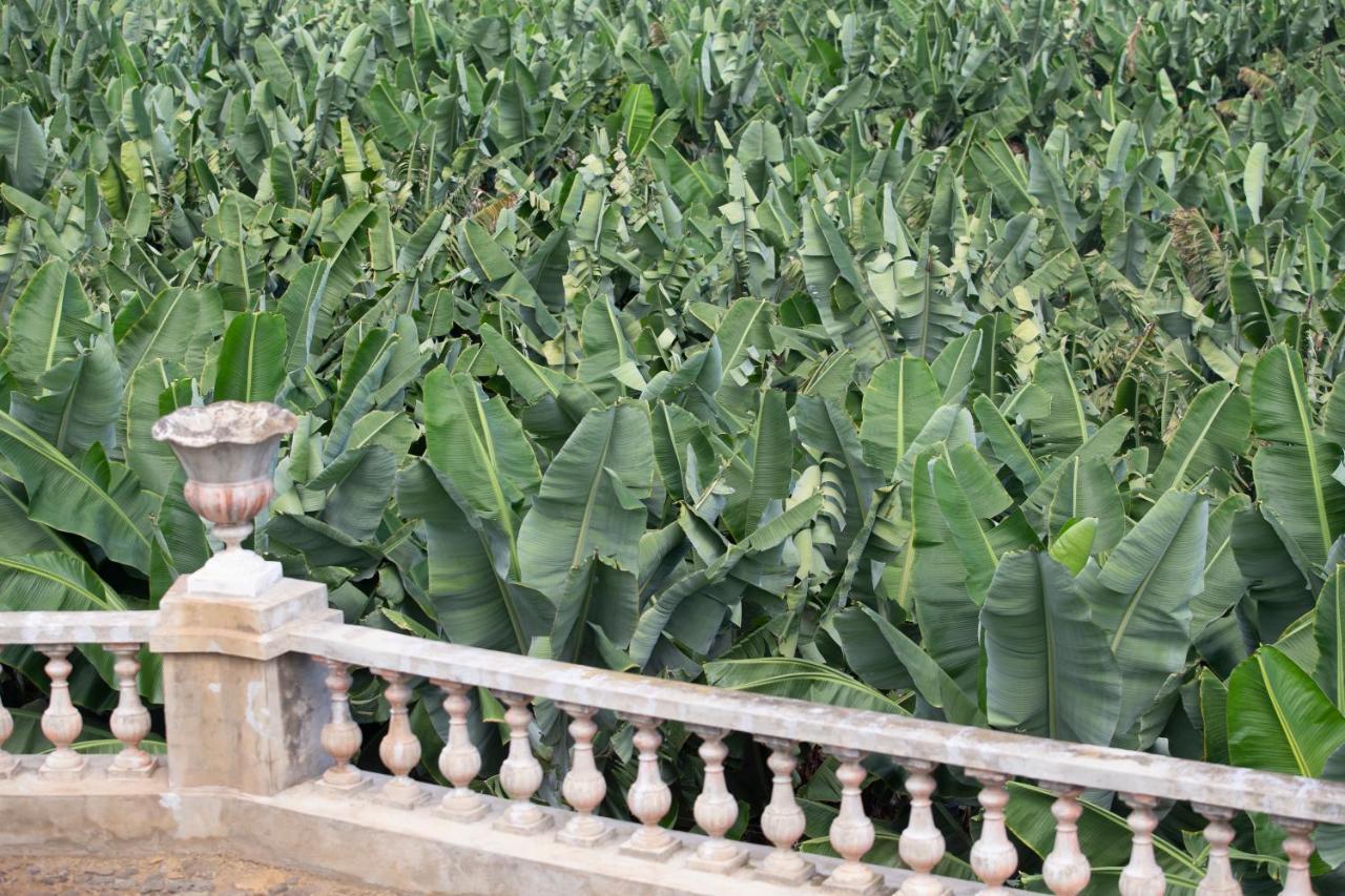 Hacienda Los Orovales Пуерто де ла Крус Екстериор снимка