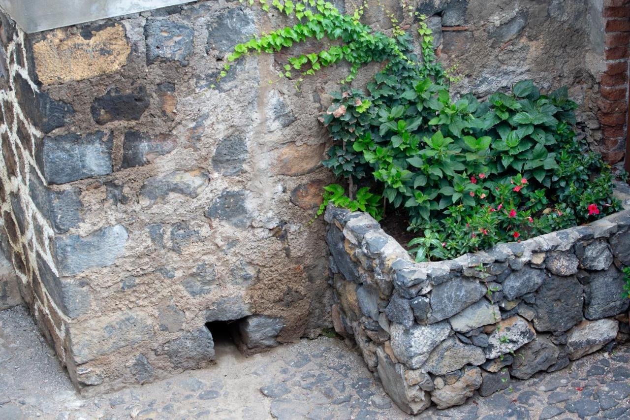 Hacienda Los Orovales Пуерто де ла Крус Екстериор снимка